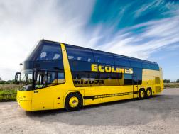 Neoplan - ECOLINES 